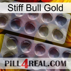 Stiff Bull Gold 31